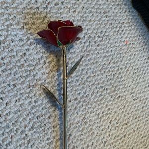 Gold dipped rose!